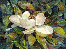 Art Magnolia